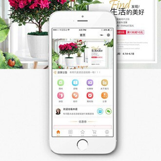 松桃县门店微商城小程序开发