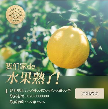 松桃县果园果林小程序开发